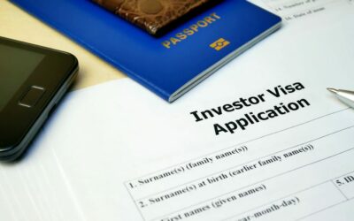 Kitas Investor