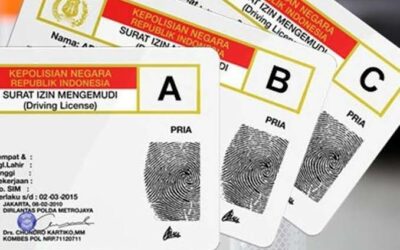 Jasa SIM Untuk WNA