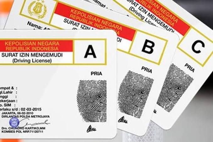 Jasa SIM Untuk WNA